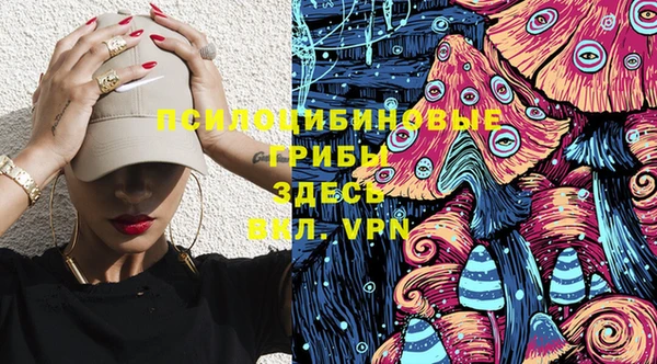 гашик Семилуки