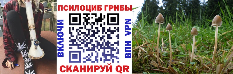 блэк спрут сайт  Суровикино  Галлюциногенные грибы GOLDEN TEACHER 